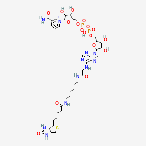Chemical structure of Biotin-NAD+