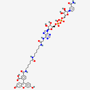 Chemical structure of Fluorescein-NAD+