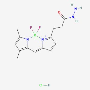 Chemical structure of BDP FL hydrazide