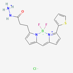 Chemical structure of BDP 558/568 hydrazide