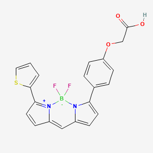 Chemical structure of BDP TR carboxylic acid