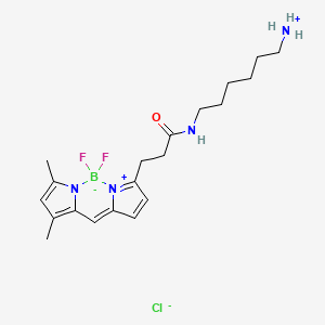 Chemical structure of BDP FL amine