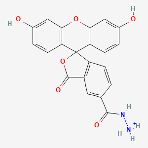 Chemical structure of FAM hydrazide, 5-isomer