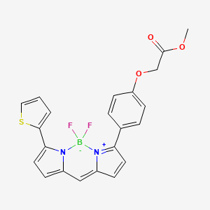 Chemical structure of BDP TR methyl ester, 5 mM in DMSO