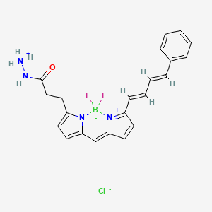 Chemical structure of BDP 581/591 hydrazide