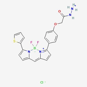 Chemical structure of BDP TR hydrazide