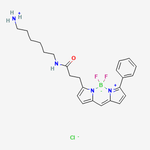 Chemical structure of BDP R6G amine