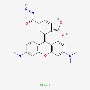Chemical structure of TAMRA hydrazide, 6-isomer