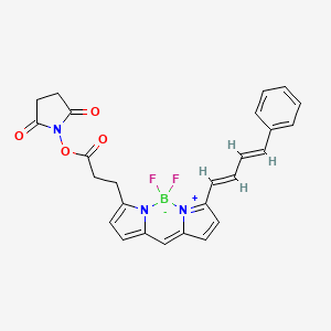 Chemical structure of BDP 581/591 NHS ester