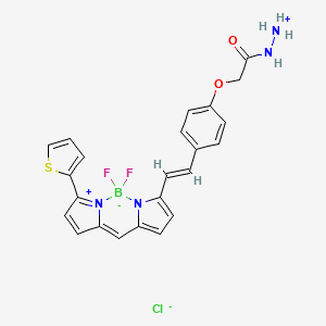 Chemical structure of BDP 630/650 hydrazide