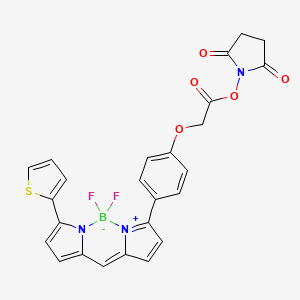 Chemical structure of BDP TR NHS ester