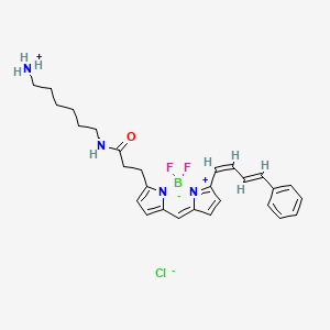 Chemical structure of BDP 581/591 amine