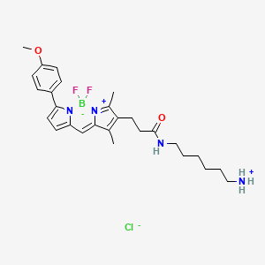 Chemical structure of BDP TMR amine