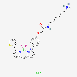 Chemical structure of BDP TR amine