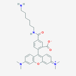 Chemical structure of TAMRA amine, 5-isomer