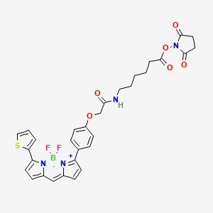 Chemical structure of BDP TR X NHS ester