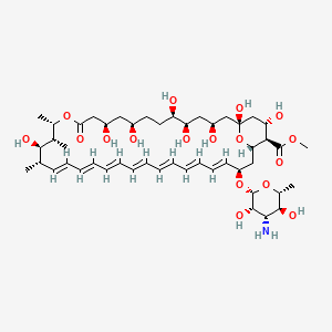 Chemical structure of Amphotericin B methyl ester