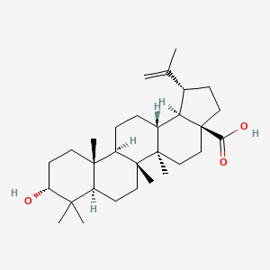 Chemical structure of Epibetulinic acid