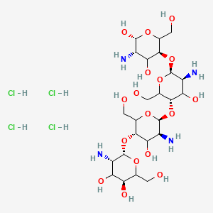 Chemical structure of Chitosan Tetramer
