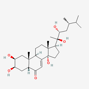 Chemical structure of Polyporusterone A