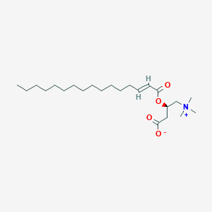 Chemical structure of trans-2-Hexadecenoyl-L-carnitine