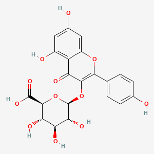 Chemical structure of Kaempferol 3-O-glucuronide