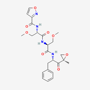 Chemical structure of Thalidomide-Piperazine-PEG2-COOH