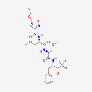 Chemical structure of Thalidomide-Piperazine-PEG3-COOH