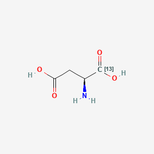 Chemical structure of L-Aspartic acid 13C