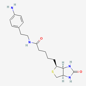 Chemical structure of Biotin-aniline