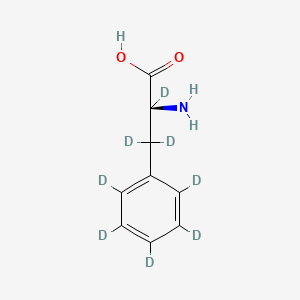 Chemical structure of L-Phenylalanine-d8