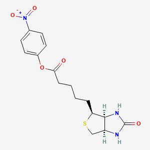 Chemical structure of (+)-Biotin-ONP