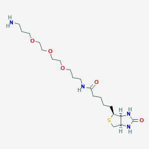 Chemical structure of Biotin-PEG3-C3-NH2