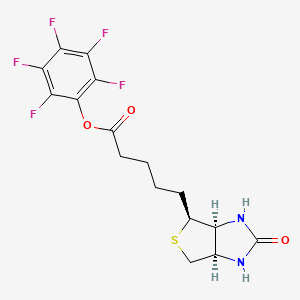 Chemical structure of Biotin-PFP ester