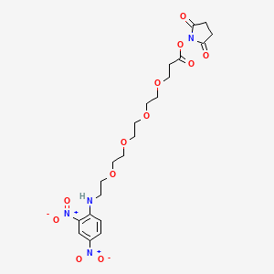 Chemical structure of DNP-PEG4-NHS ester