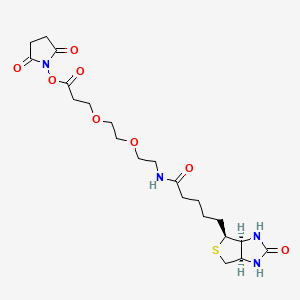 Chemical structure of Biotin-PEG2-NHS ester