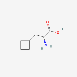 Chemical structure of (R)-2-amino-3-cyclobutylpropanoic acid