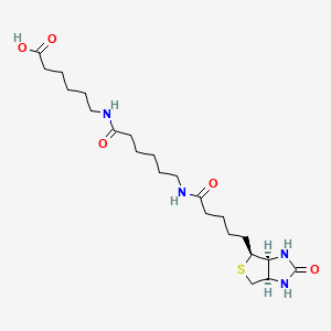Chemical structure of Biotin-C5-amino-C5-amino