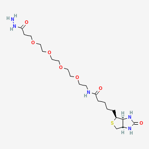 Chemical structure of Biotin-PEG4-hydrazide