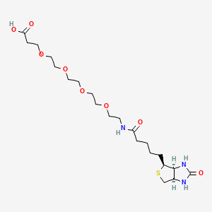 Chemical structure of Biotin-PEG4-acid