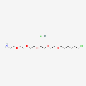 Chemical structure of NH2-PEG5-C6-Cl hydrochloride