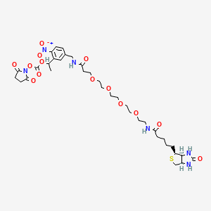 Chemical structure of PC-Biotin-PEG4-NHS carbonate