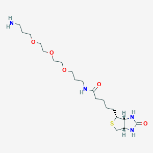 Chemical structure of Biotin-PEG3-C3-NH2
