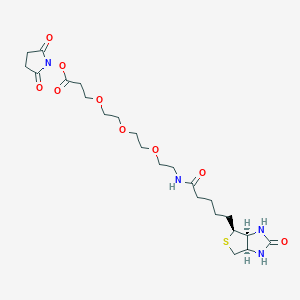 Chemical structure of Biotin-PEG3-NHS ester