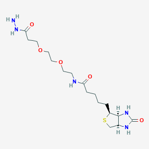 Chemical structure of Biotin-PEG2-Hydrazide