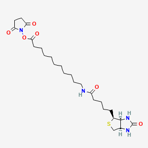 Chemical structure of SLC-NHS-(+)-Biotin