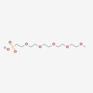Chemical structure of m-PEG5-sulfonic acid