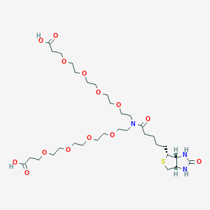 Chemical structure of N-Biotin-N-bis(PEG4-acid)
