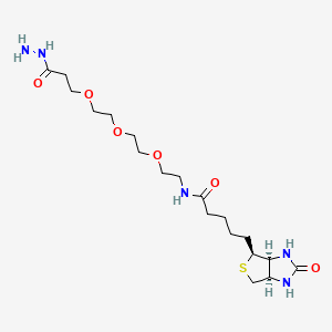 Chemical structure of Biotin-PEG3-hydrazide