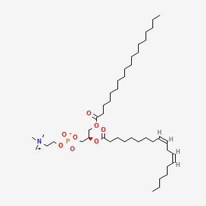 Chemical structure of 1-Stearoyl-2-linoleoyl-sn-glycero-3-phosphocholine